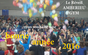 Bonne année 2016
