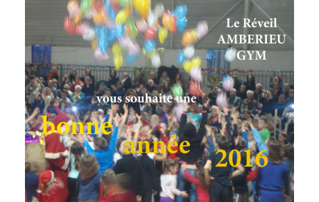 Bonne année 2016
